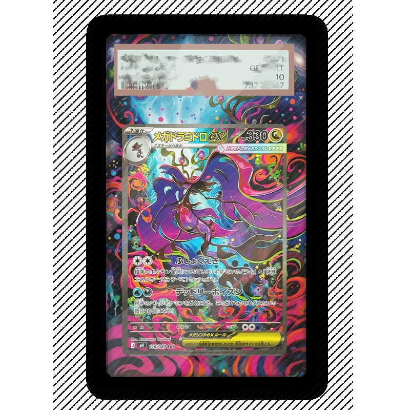アートディスプレイポケモンドラグラーカード PTCG キーホ - Anime Merchandise From Japan のレビューと価格